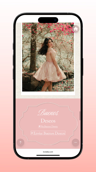 Premium XV Signature + RSVP